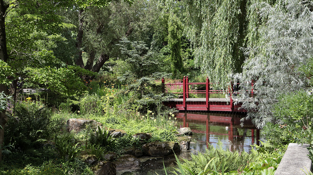 Chinese tuin - Blijdorp